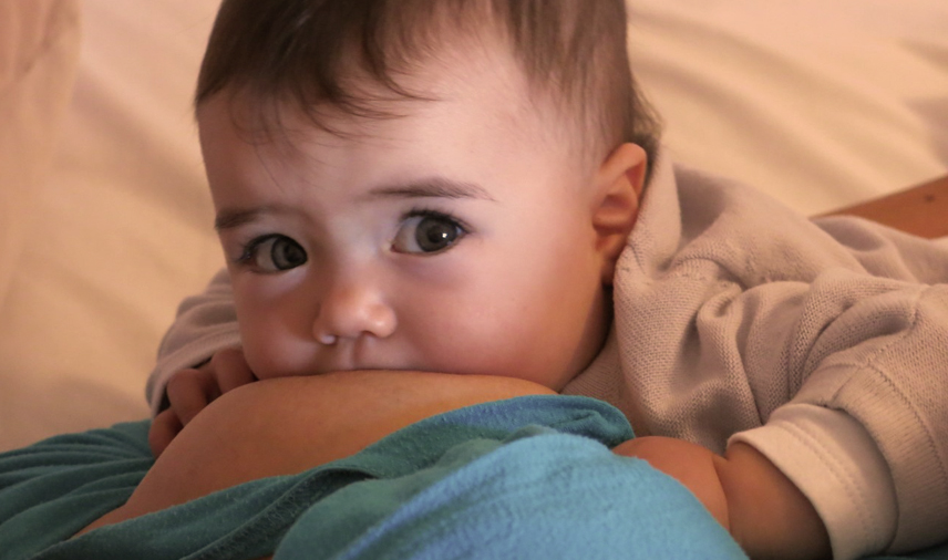 Bebé amamantando que mira a la cámara